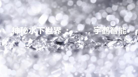 神秘水下世界，宇鶴智能清洗機(jī)器人揭開面紗！